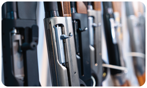 shotguns